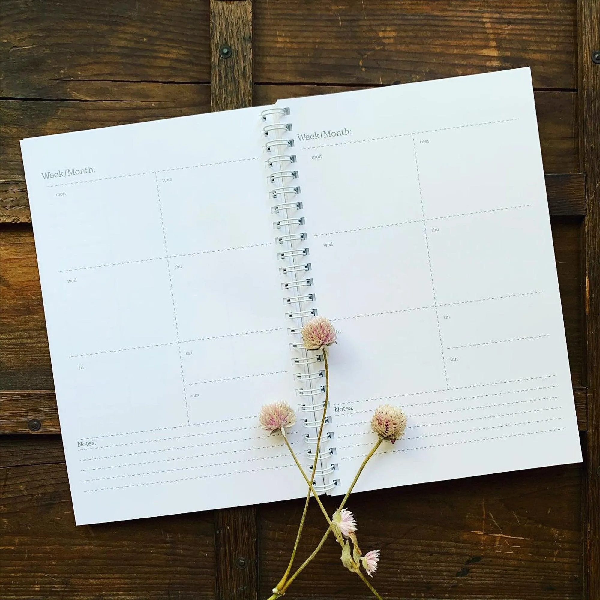 Planner: Skoshie the Cat (3 styles)